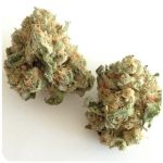 Шишки "White Widow"  (Белая вдова)  Гидропоника -  Бошка VHQ в Дубне