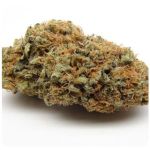 Шишки AK47  (Гидропоника, Бошка) VHQ в Дубне